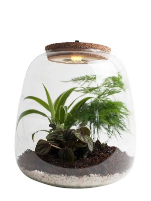 Jungle Terrarium DIY